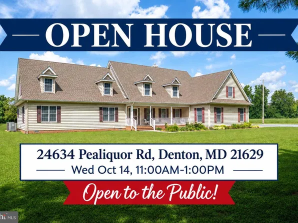24634 Pealiquor Rd, Denton, MD 21629