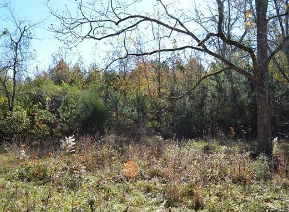 3rd image of 579 Lee Road 3