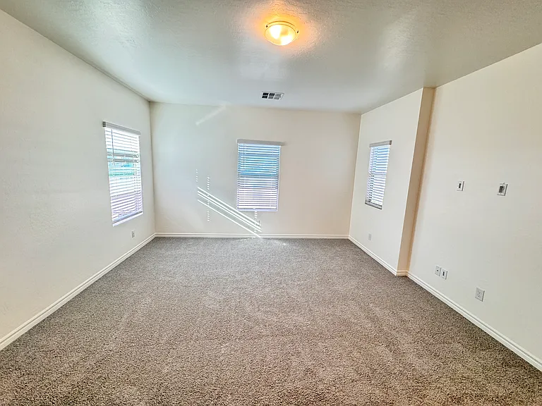 2711 Lindsey Springs St — Photo 30