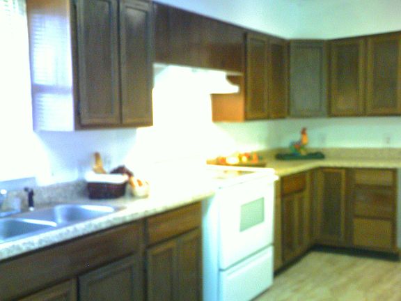 self clean oven