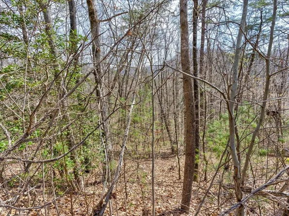 78-79 Bear Track Way, Del Rio, TN 37727