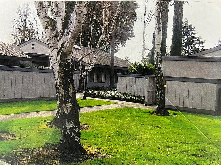 3450 W Benjamin Holt Dr — Photo 10