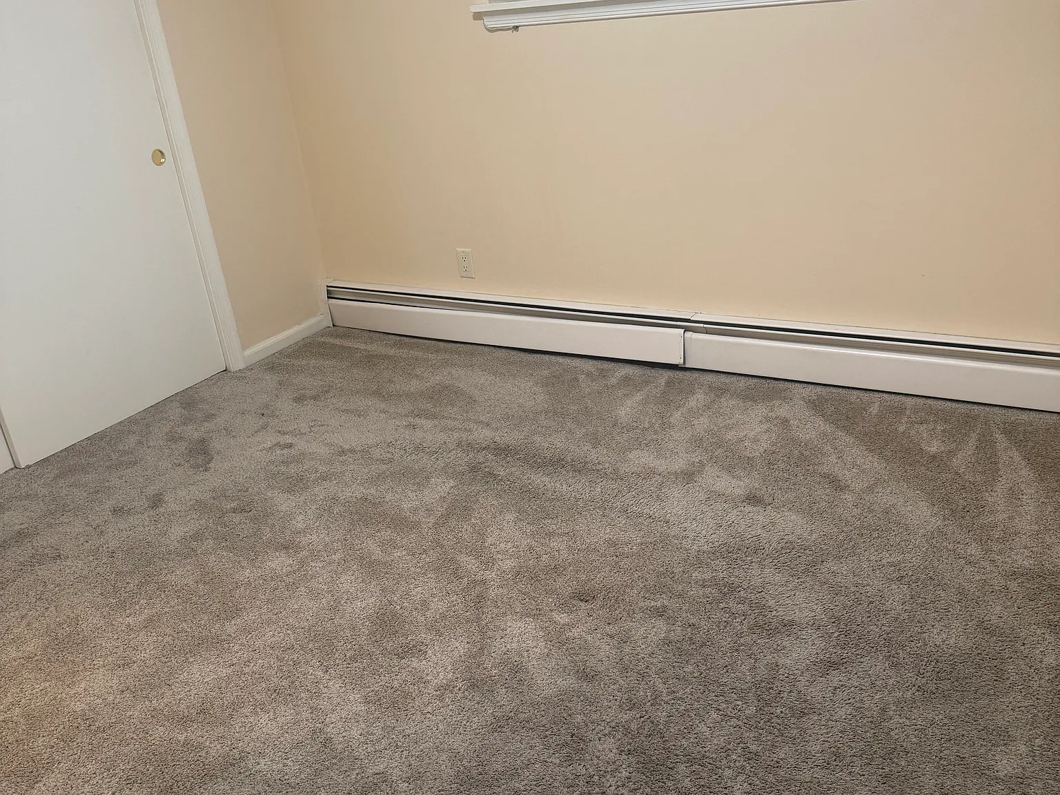 1 bed, $1,300 — Photo 2