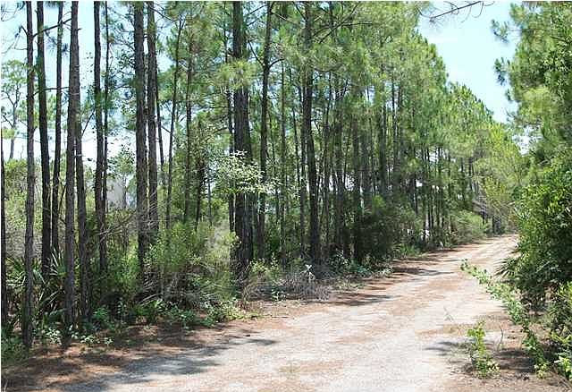 1st image of Turnstone Dr