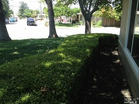 4th image of 4 Alamo Ct