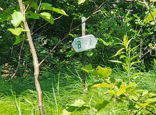 10465 Mason Rd, Onaway, MI 49765