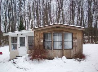 262 Rochester St, Hannibal, NY 13074