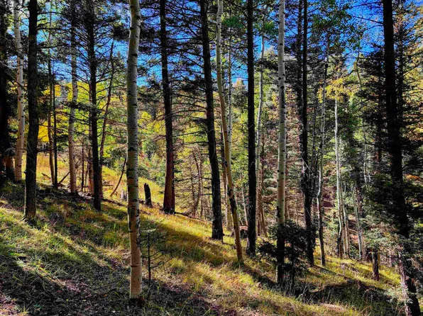 Lot 832 Via del Rey, Angel Fire, NM 87710