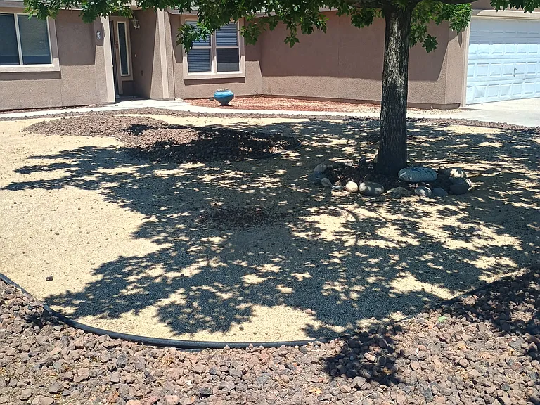 Zero scapes yard