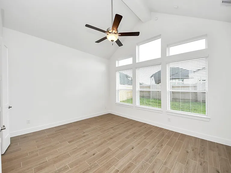25026 Midnight Willow — Photo 25