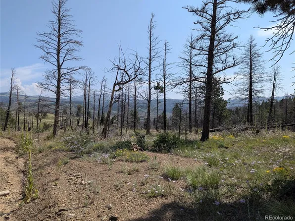 172 MacNaughton Drive, Fort Garland, CO 81133