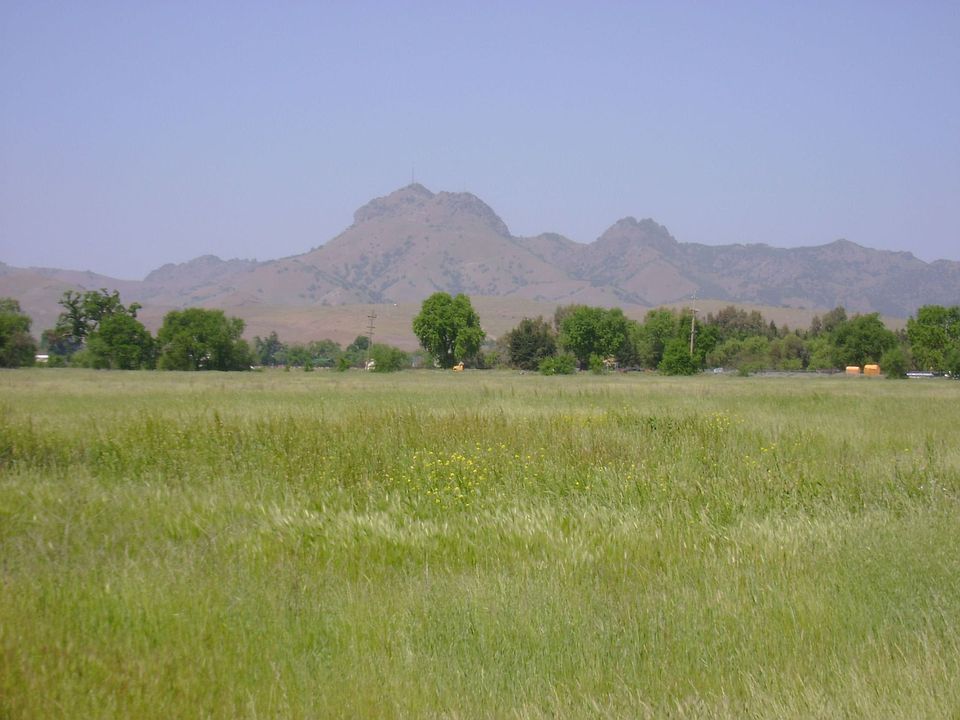 38.1 Industrial Zoned Acres