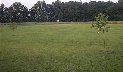 Level 2+ acre lot