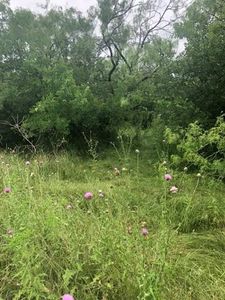 LOT 8 Lone Star Dr, Baird, TX, 79504
