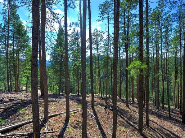 6824 Lynx Lair Road, Evergreen, CO 80439