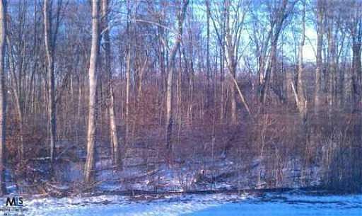 3rd image of 49239 W Woods Dr