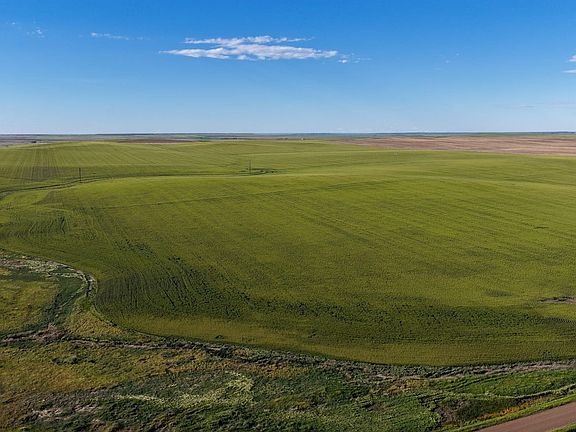 Dji Fly 20260610 181252 0567 1781187501486 Photo