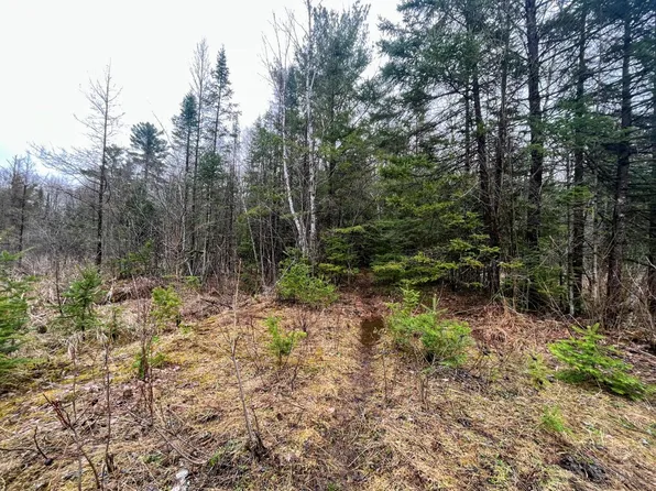 Linden Rd, Ogema, WI 54459