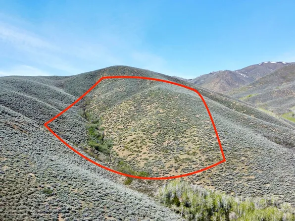 Lees Gulch Rd, Bellevue, ID 83313