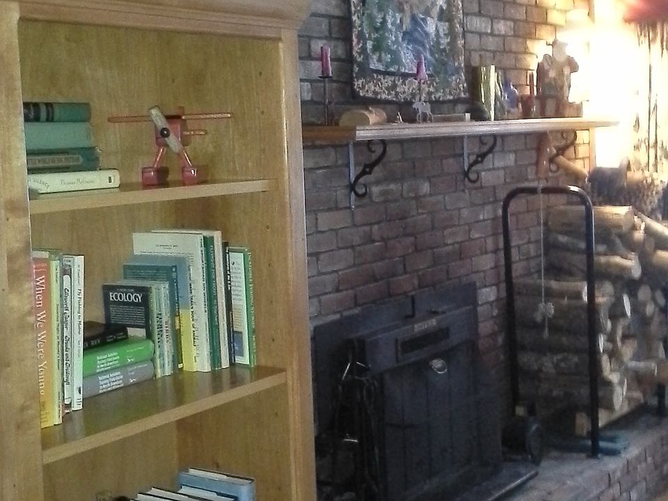 fireplace w/Dover insert