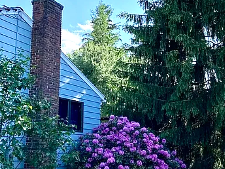 North side of house with rhododendron outside back bedroom