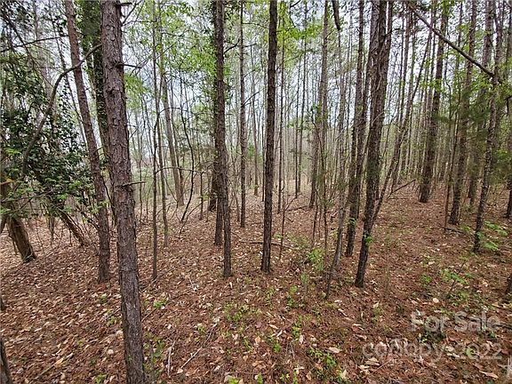 4th image of LOT 4 Forest Lawn Dr