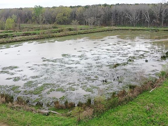 4th image of Highway 923