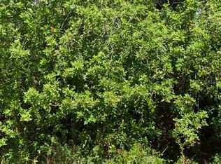 103 Dakota St NW Lot 1, Lake Placid, FL 33852