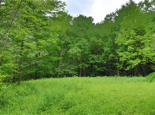 Hillsboro Rd LOT 24, Camden, NY 13316