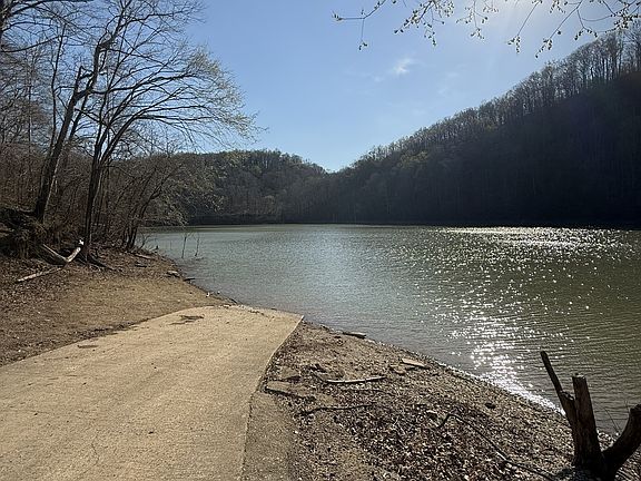 4th image of 4291 Webbs Camp Rd