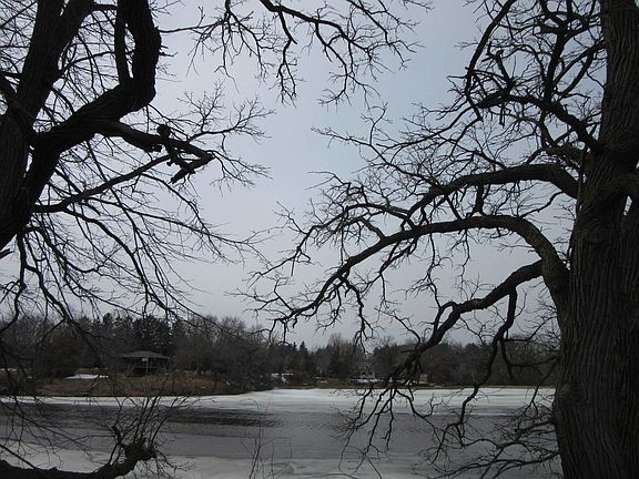 2nd image of L-5 Green Dr