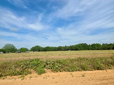 0 H Merritt Rd PARCEL D, Slocomb, AL, 36375