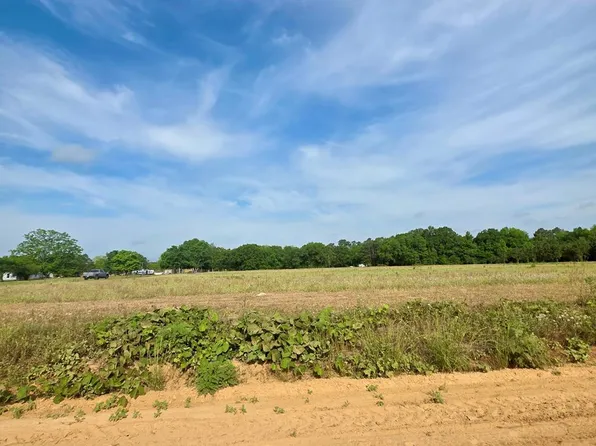0 H Merritt Rd Parcel D, Slocomb, AL 36375