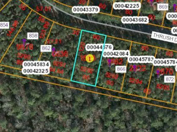 864 Thrush Dr, Vass, NC 28394