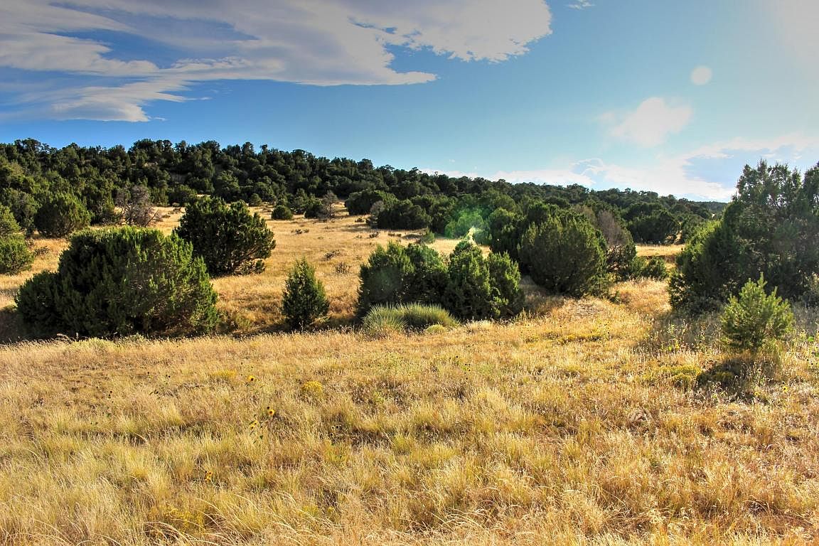 Rio Cucharas Phase 2, Walsenburg, CO 81089 Zillow