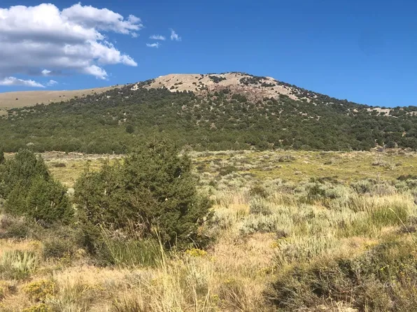 Angle Lake Rd, Wells, NV 89835