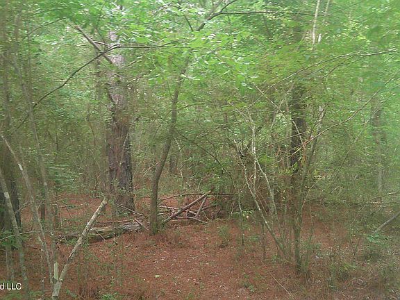 3rd image of Will Glenn Rd