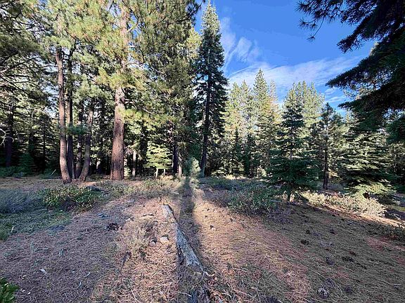 2nd image of 11853 Saddleback Dr