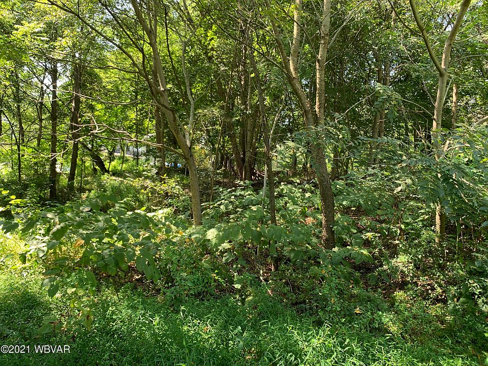 2nd image of River Rd