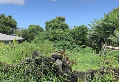 2nd image of 73-4654 Mamalahoa Hwy