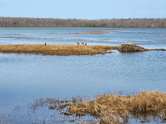 3rd image of LOT 1 Red Bay Rd
