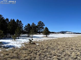 Doe Valley Rd, Guffey, CO 80820