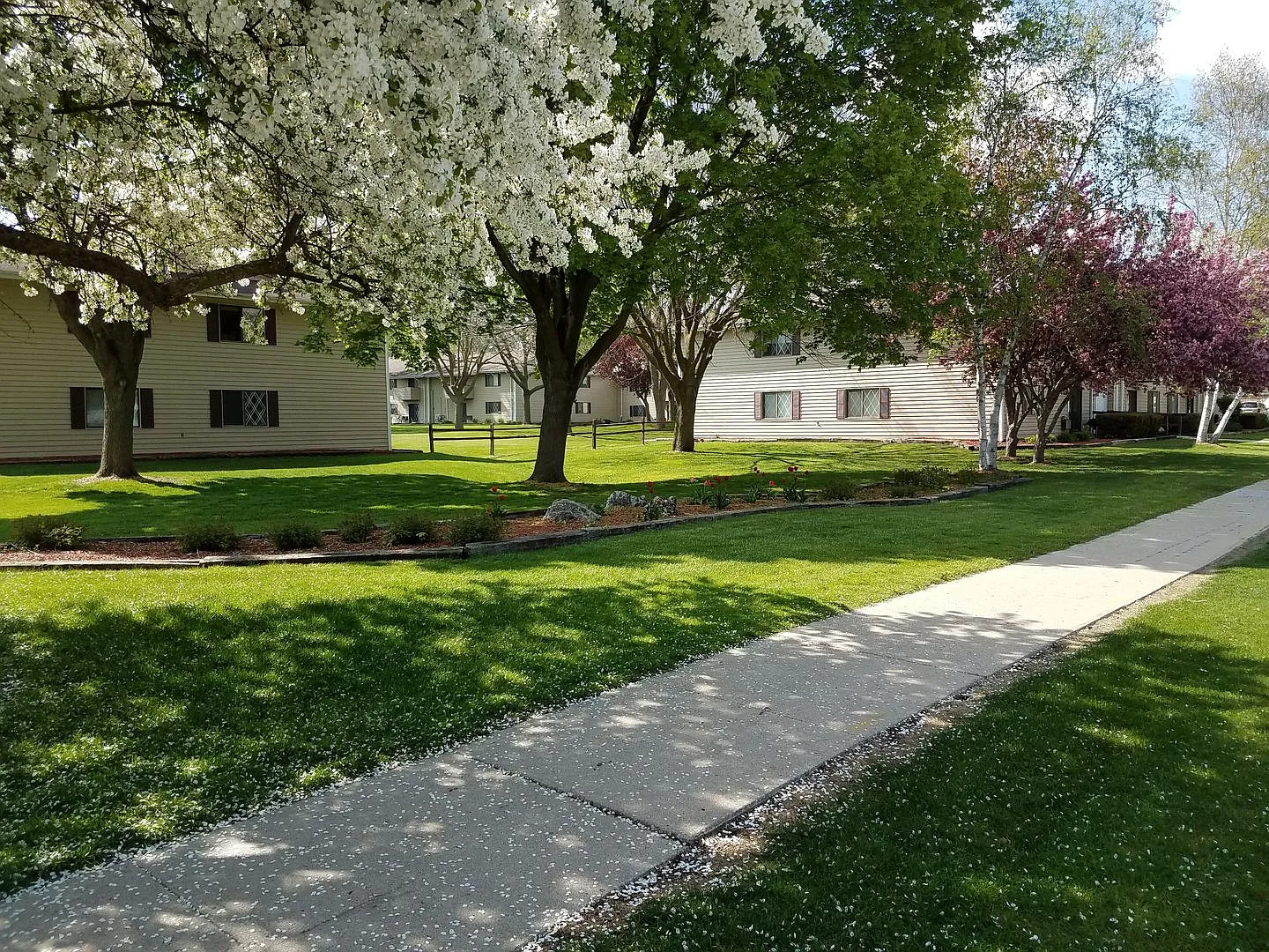 Courtyard Apartment Homes - 816 — Photo 3