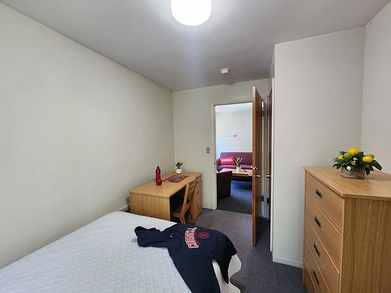 Collegetown Court, 208 Dryden Road — Photo 148