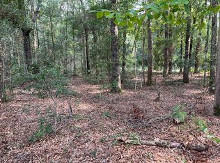 3887 Old Salkehatchie Hwy, Early Branch, SC 29916