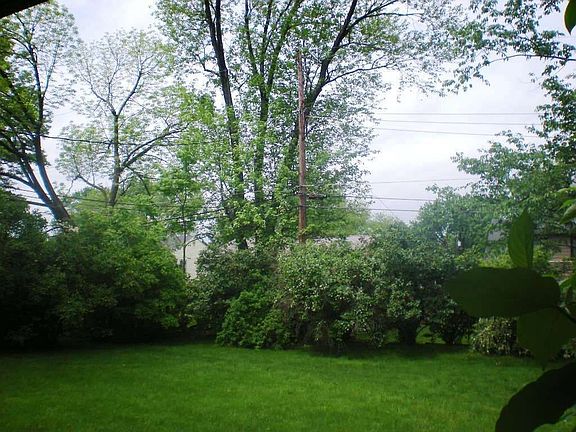 Backyard View