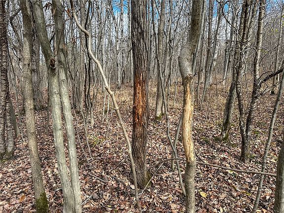 2nd image of Trapping Brook Rd