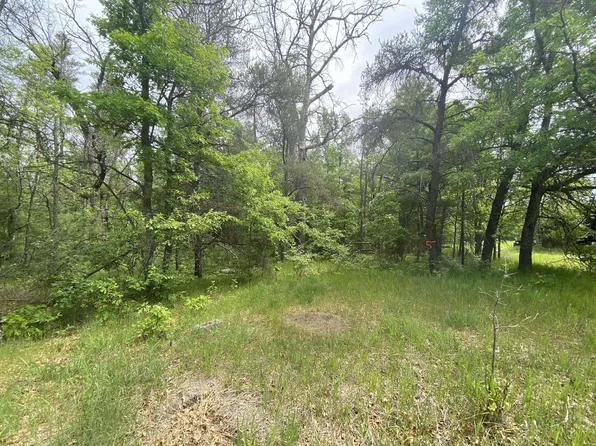 V/l 3ac Stitt Ln, Mio, MI 48647