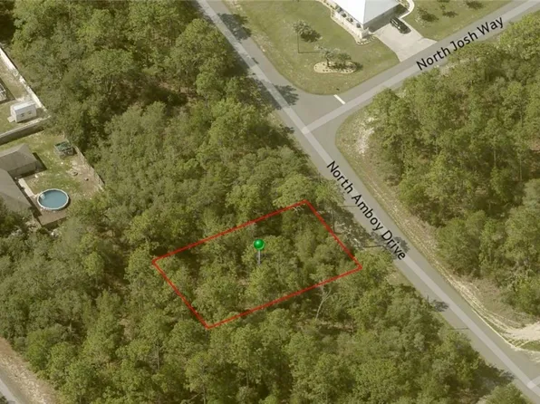 3375 W Wilburton Dr, Citrus Springs, FL 34433