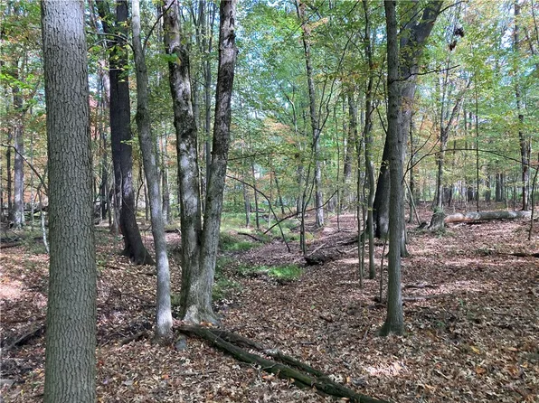 PARCEL Kriess Rd #C, Butler, PA 16001